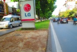 Hà Nội bóc cỏ dải phân cách đường để... lát gạch